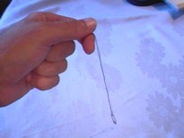 pendulum